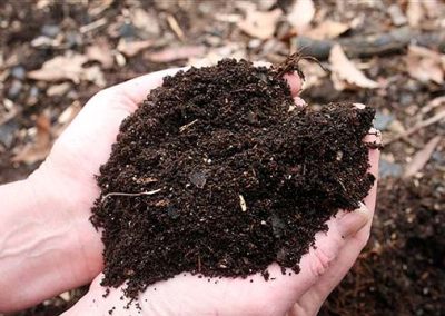 Compost