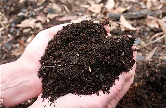 start-compost-pile-5501