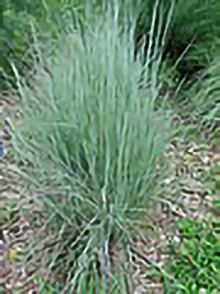GR0900