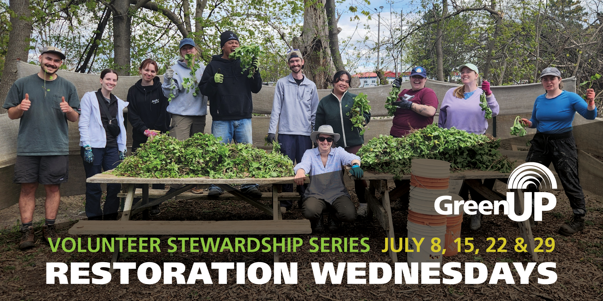 A group of smiling volunteers stands outdoors at GreenUP Ecology Park behind picnic tables covered with piles of freshly pulled green invasive plants. Several volunteers are wearing work gloves and holding up handfuls of plants. The setting is a wooded area with large trees, leaf litter, and shade cloth or fencing in the background. A GreenUP logo appears on the right side of the image. Large text overlay reads: “Volunteer Stewardship Series, July 8, 15, 22 & 29. Restoration Wednesdays.”