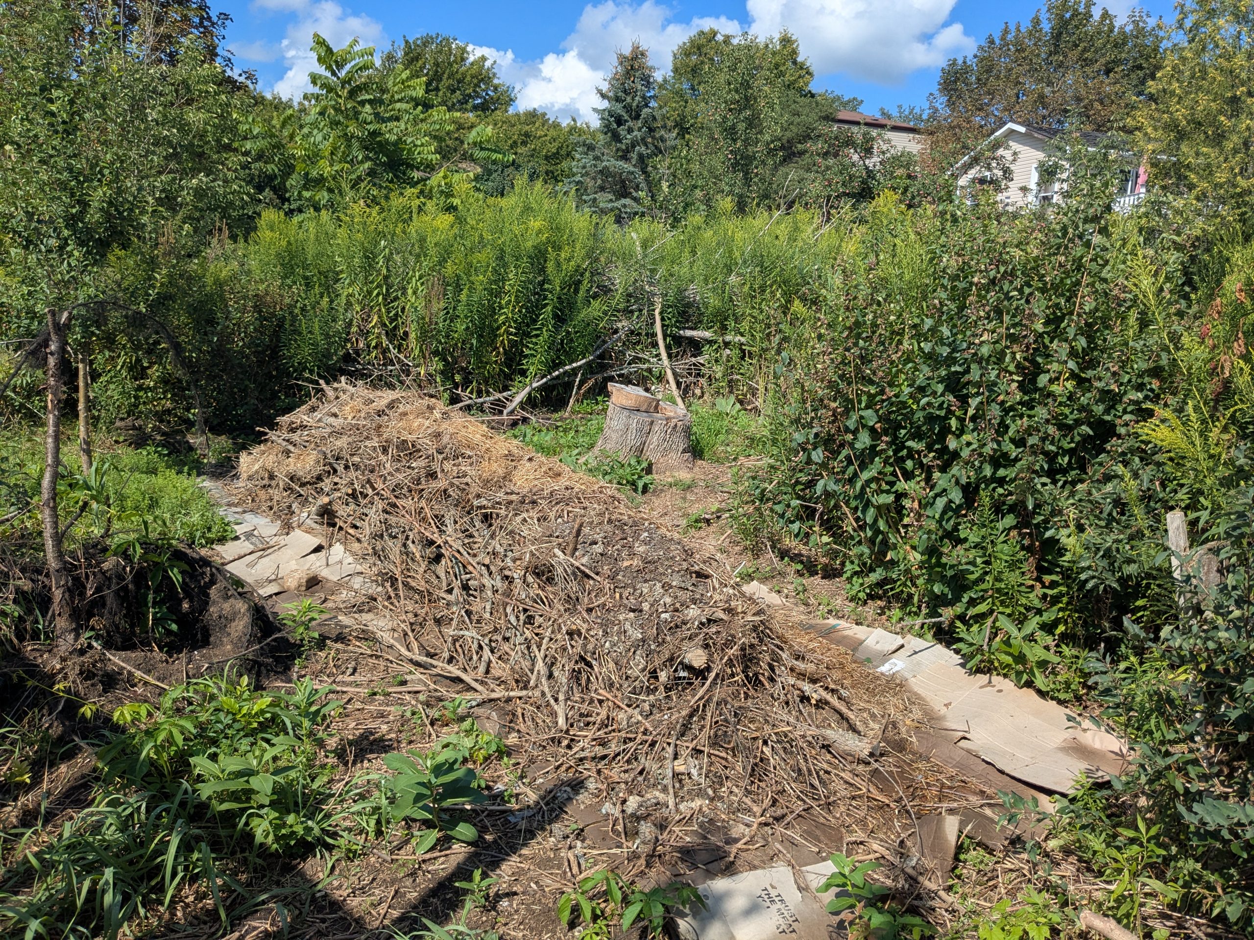 A raised garden bed built via the Hugelkultur method.