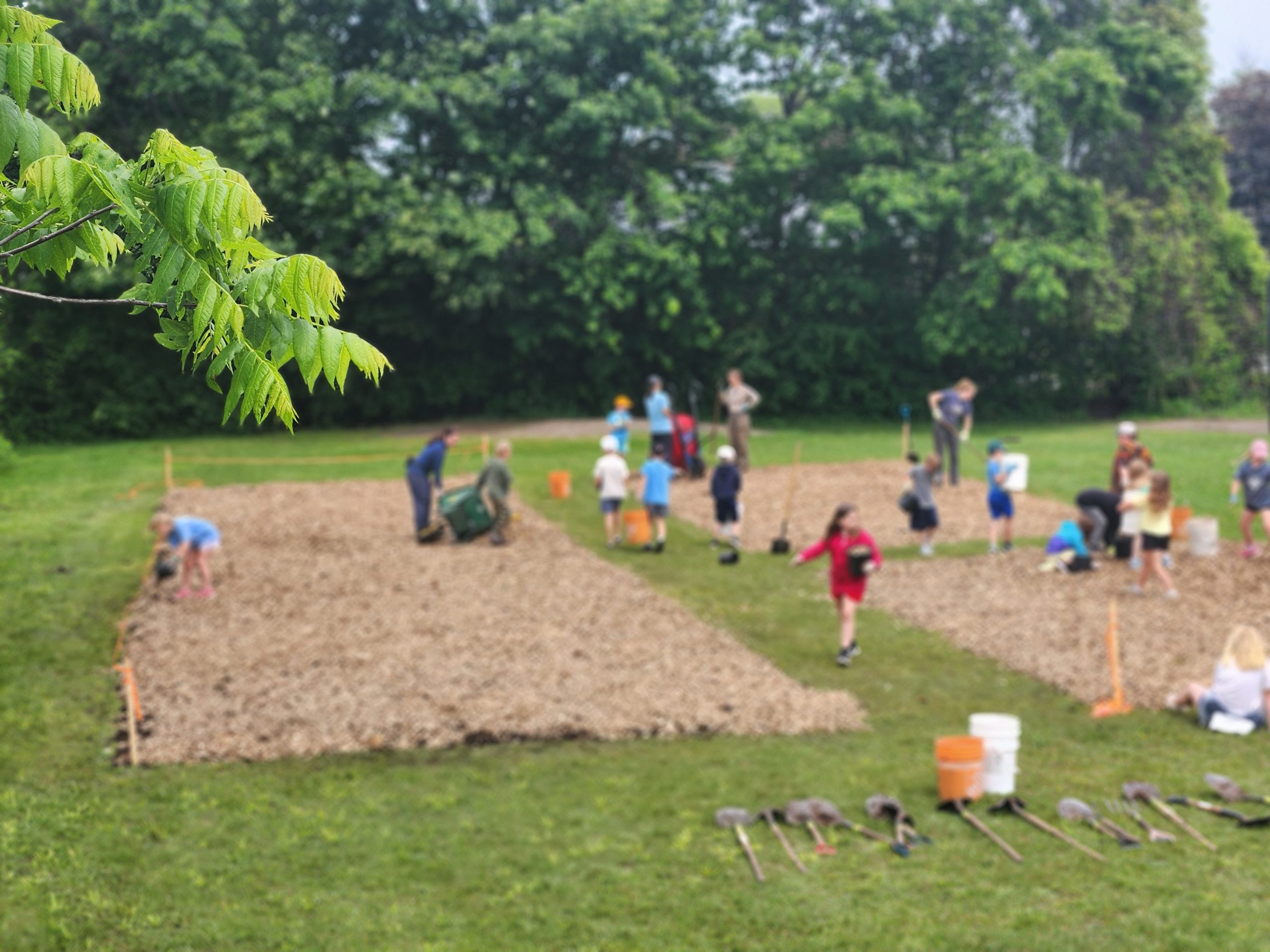 GreenUP staff and students from Burnham Public School prepare their schoolyard to plant a Little Forest. The image is taken from far away, at the top of a hill.